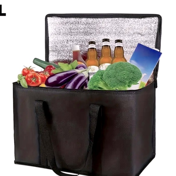 New - Large Multi-Use Insulated Tote Bag - Durable and Lightweight - Picture 1 of 7